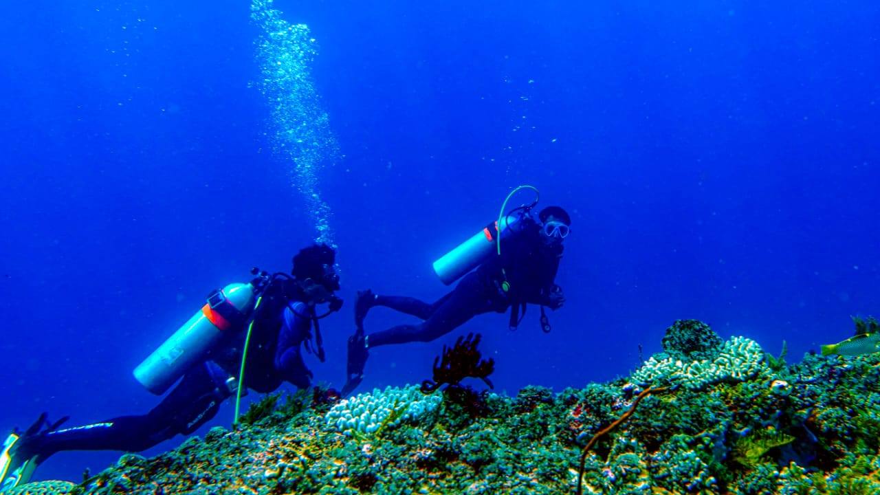 Tim Wanadri dan Dispar Buru Ungkap Pesona Bawah Laut Desa Hatawano